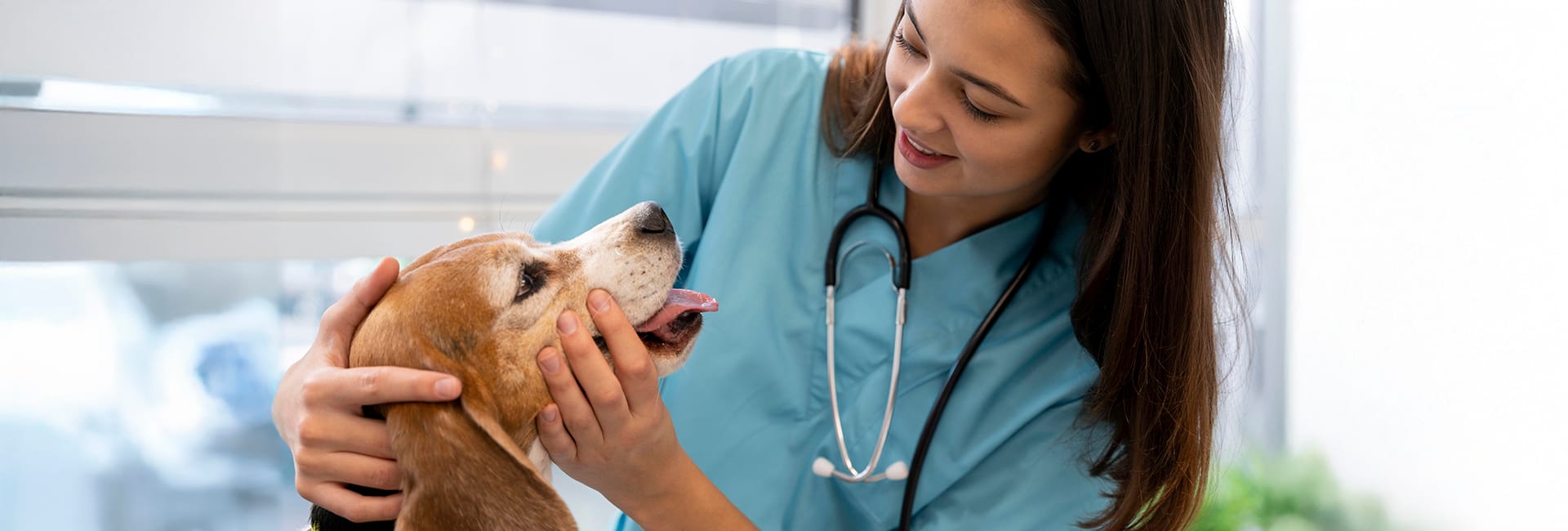 Unifacisa promove mutir&atilde;o de castra&ccedil;&atilde;o e atendimento veterin&aacute;rio gratuito para&nbsp;a&nbsp;comunidade